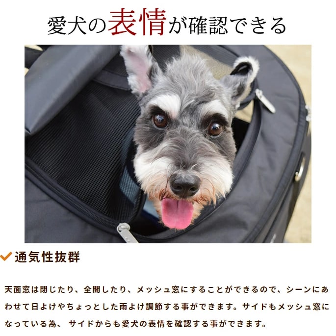 �ڥåȥ���꡼�Хå� �������ȥϡ��� (�Хå��Τ�) S���������ɥ饤������/�֥�å�/�ǥ˥ࡡ���������ѥ��å������סڥХå���������W460��D280��H320��