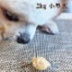������ �����| �ʥ�����ϡ��٥��� ����ġ�Ĳ��ѥեѥ�