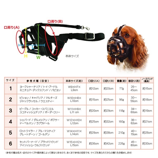 �ޥ��ƥ��ޥ��롡������No.3��6 �ȥ졼�˥󥰤佦�������ɻߤˡ�����