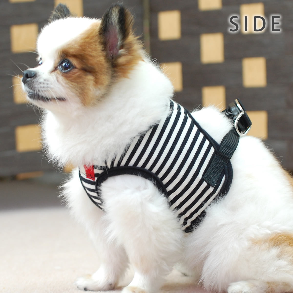 ���ѥϡ��ͥ����꡼�ɥ��åȡ�ASHU���������ϡ��ͥ��ܡ��������꡼�ɥ��åȡ�S����������������