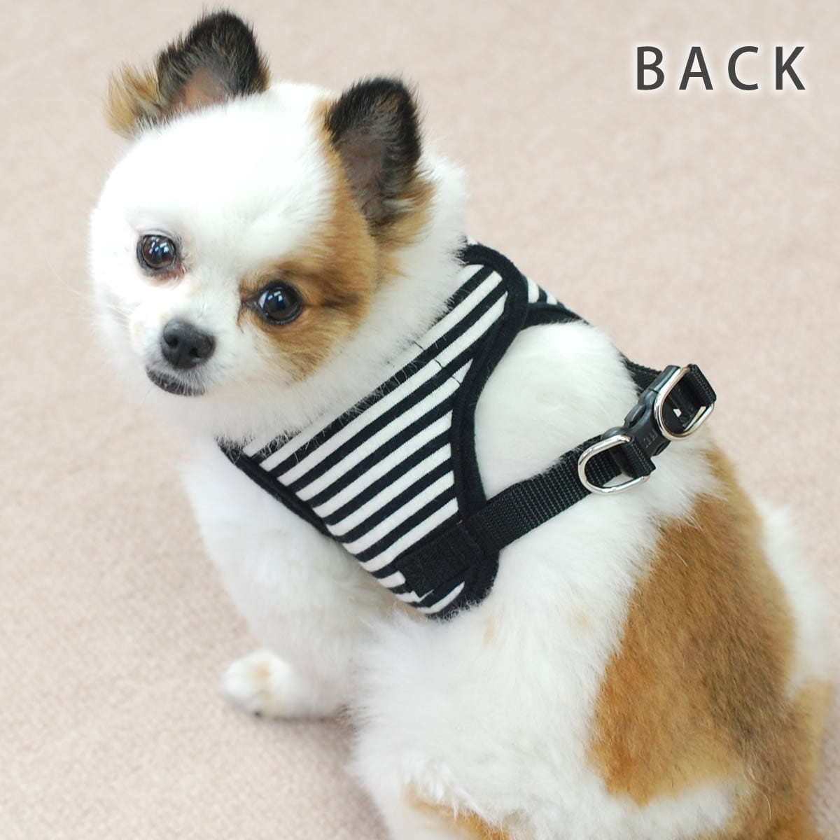 ���ѥϡ��ͥ����꡼�ɥ��åȡ�ASHU���������ϡ��ͥ��ܡ��������꡼�ɥ��åȡ�S����������������