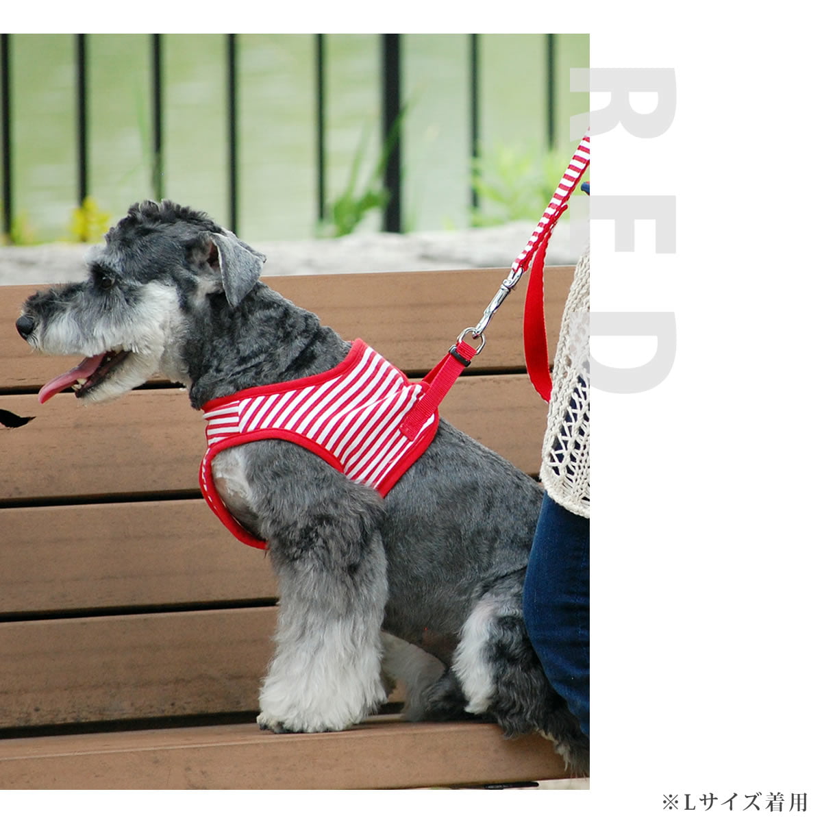 ���ѥϡ��ͥ����꡼�ɥ��åȡ�ASHU���������ϡ��ͥ��ܡ��������꡼�ɥ��åȡ�S����������������