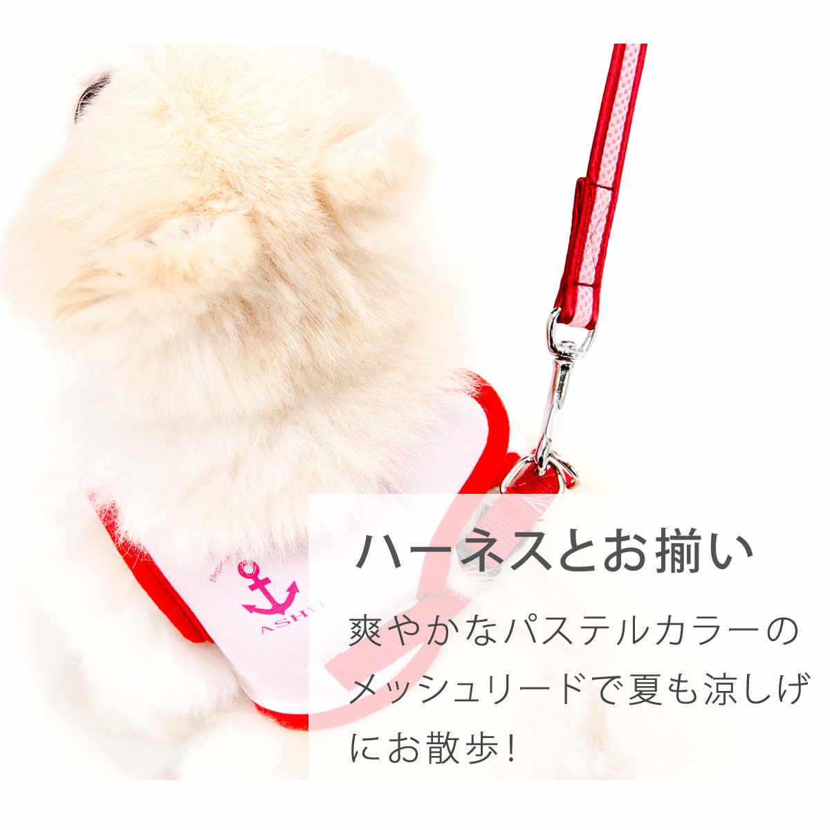 �������ѥ꡼�ɡ�ASHU��������󥰥������ϡ��ͥ��ѥ꡼�ɡ�S�������ڥϡ��ͥ���������