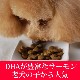 ������̵�������ޤ��աۥȥ饤�ץɥ饤���ɥå��ա��ɡ��磻��ɥ������6.35kg