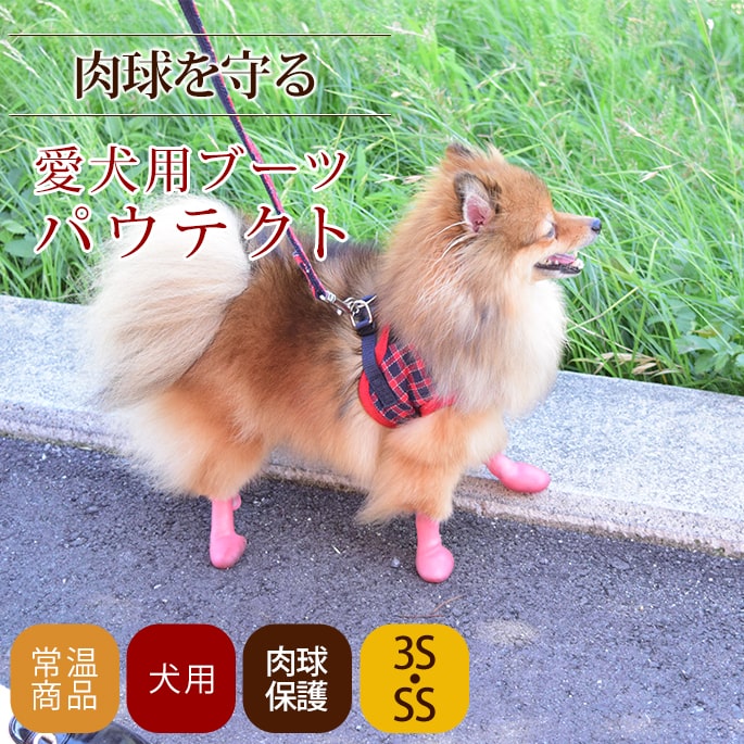 �����ѥ֡��� �ѥ��ƥ��ȡ�3S��S����������4­����� �����ݸ� ���ߤ����