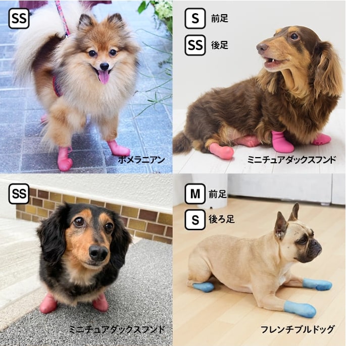 �����ѥ֡��� �ѥ��ƥ��ȡ�3S��S����������4­����� �����ݸ� ���ߤ����