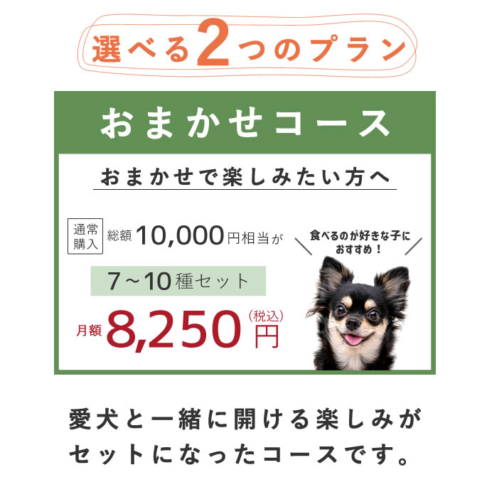 ڥ֥ۼꤴϤȤĥåȡءྦ