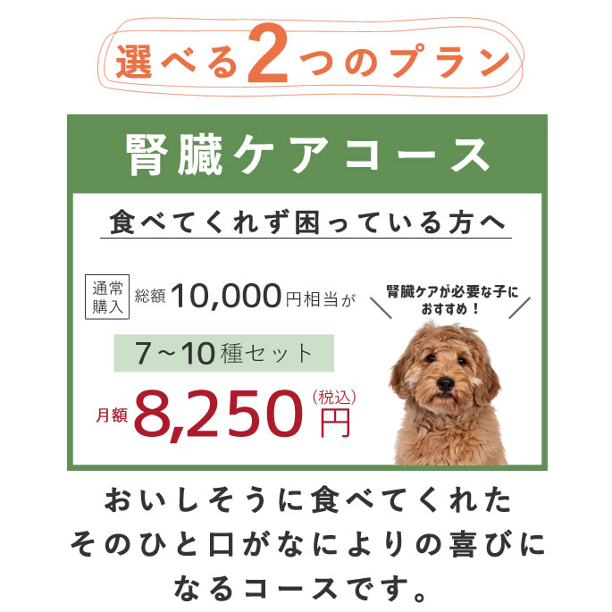 ڥ֥ۼꤴϤȤĥåȡءྦ
