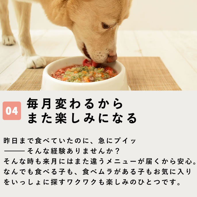 ڥ֥ۼꤴϤȤĥåȡءྦ