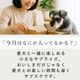 ڥ֥ۼꤴϤȤĥåȡءྦ