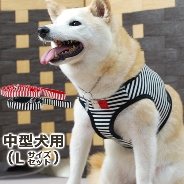 1_018002000065.jpg?1718344962