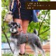 ���ѥ꡼�ɡ�ASHU���ͥ����꡼�ɡ����������緿���ޤ�