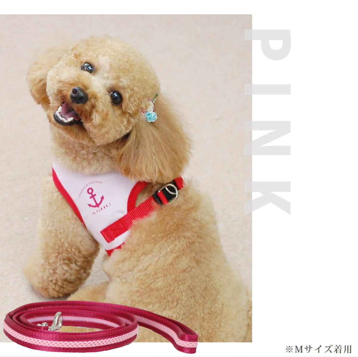 �淿���ѥ꡼�ɡ�ASHU��������󥰥������ϡ��ͥ��ѥ꡼�ɡ��ͥ������ڥϡ��ͥ���������