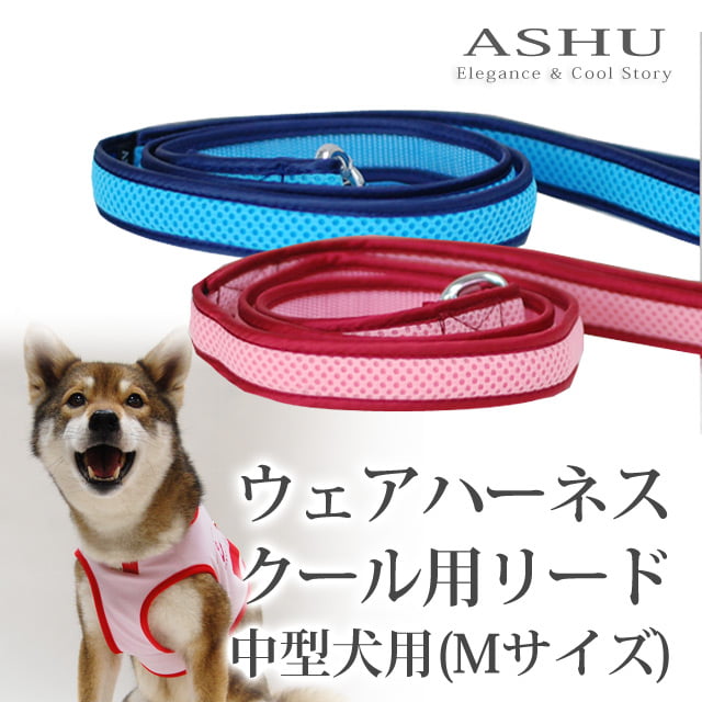 �淿���ѥ꡼�ɡ�ASHU��������󥰥������ϡ��ͥ��ѥ꡼�ɡ��ͥ������ڥϡ��ͥ���������