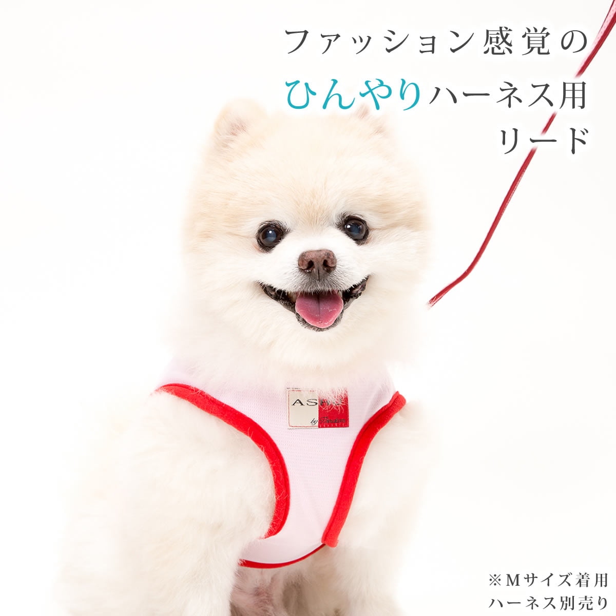 �淿���ѥ꡼�ɡ�ASHU��������󥰥������ϡ��ͥ��ѥ꡼�ɡ��ͥ������ڥϡ��ͥ���������