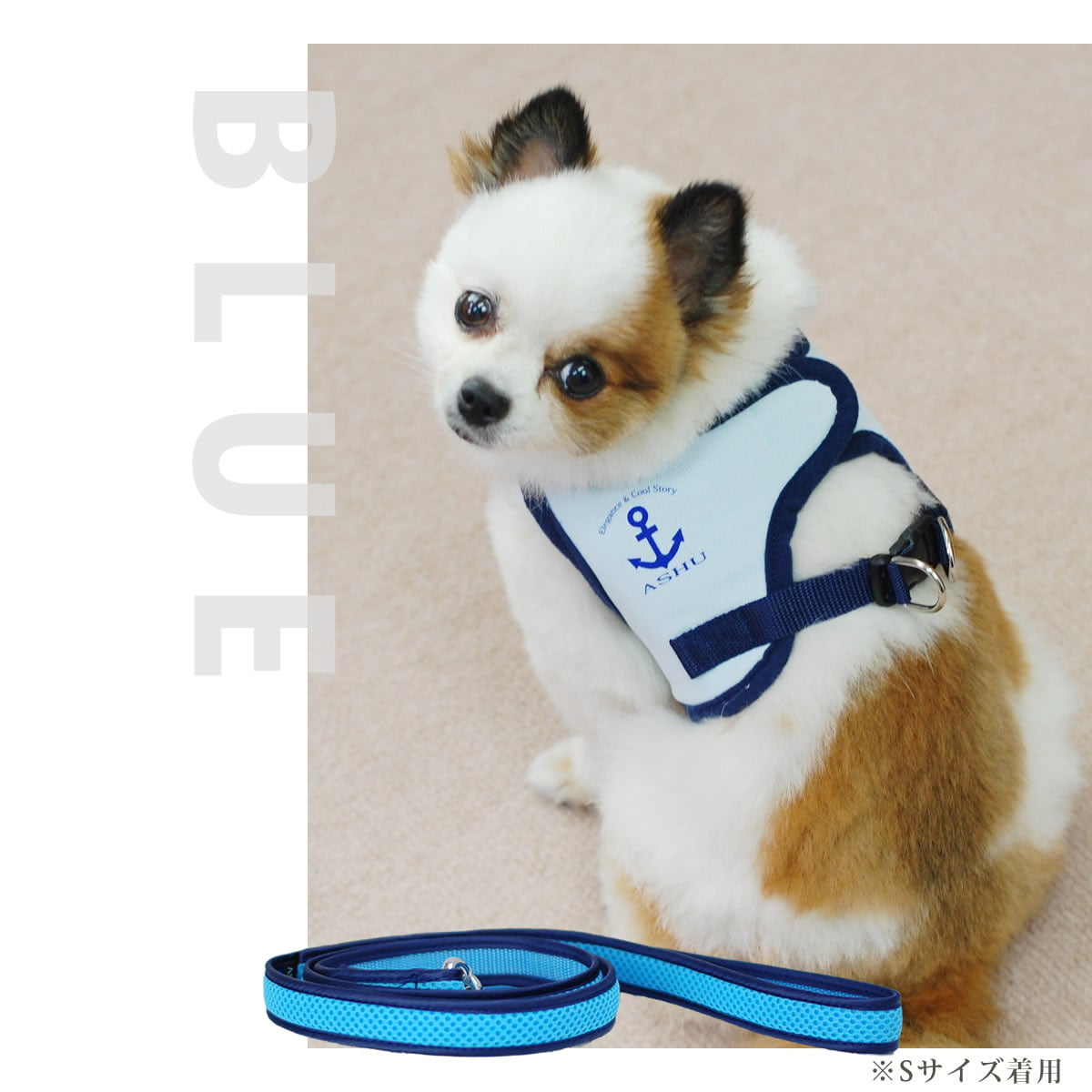 �淿���ѥ꡼�ɡ�ASHU��������󥰥������ϡ��ͥ��ѥ꡼�ɡ��ͥ������ڥϡ��ͥ���������