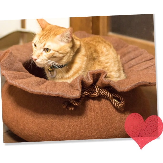 猫ベッド｜フェルトキャットハウス タイプB(214072-1A) 秋冬ベッド