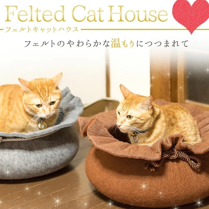 8_000000004165.jpg?1718697085