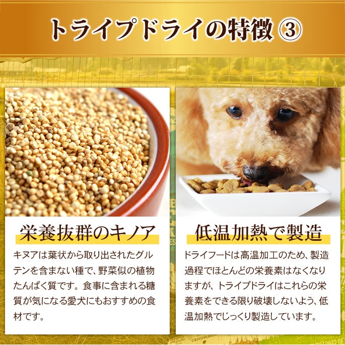 ドッグフード yves ペットカインド グリーントライプ＆ワイルドサーモン 小粒 2.7kg