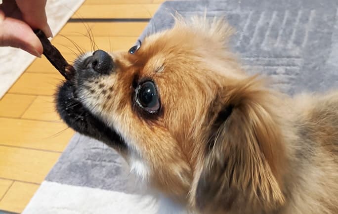 �����Ѥ���ġ������٤ʤ��Ϥ��ʤ������������������ƥ��å���10�ĥץ饹1�ĥ��å�