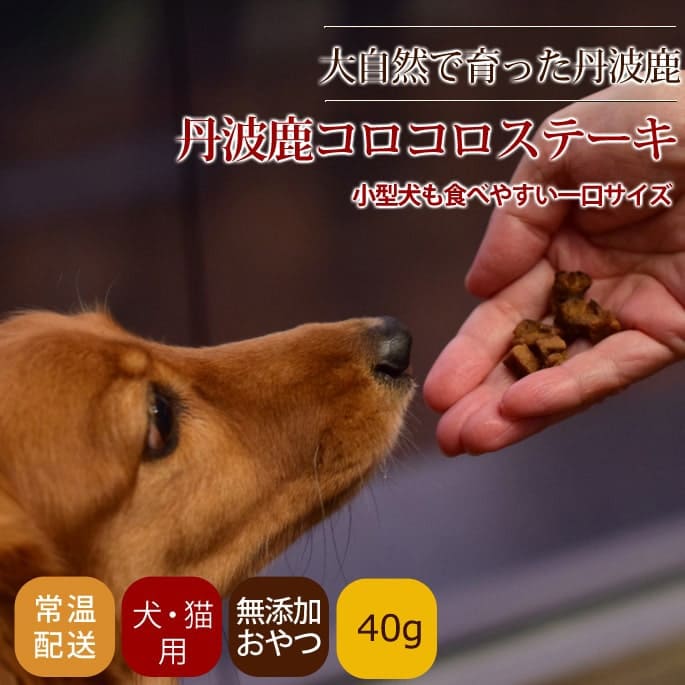 �����Ѱ�ǭ�Ѥ���ġ���ð�ȼ������������ơ��� 40g
