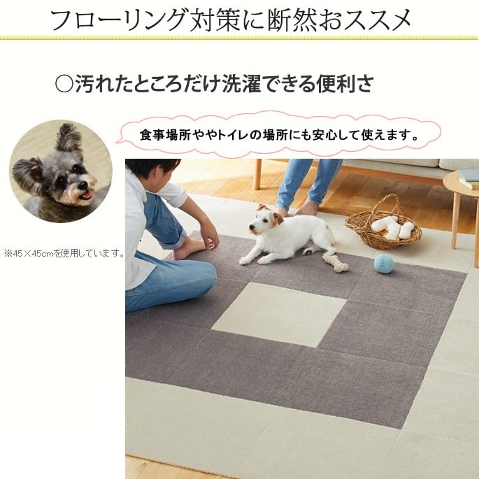 �դ��դ��������륫���ڥåȡ��ԥ��ڥȥ⡡45��45cm��12�祳���ǥ��å�