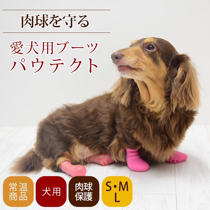 �����ѥ֡��� �ѥ��ƥ��ȡ�S��M��L����������2­����� �����ݸ� ���ߤ����