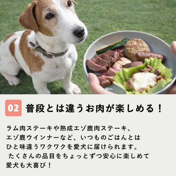 �ڴ��ָ�������Ť���BBQ���å� �ڥϥ���ɥ��࿩Ʋ�ۡ������ء�