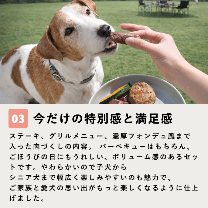 �ڴ��ָ�������Ť���BBQ���å� �ڥϥ���ɥ��࿩Ʋ�ۡ������ء�