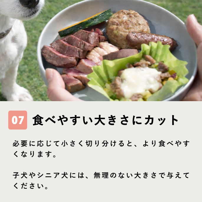 �ڴ��ָ�������Ť���BBQ���å� �ڥϥ���ɥ��࿩Ʋ�ۡ������ء�