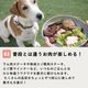�ڴ��ָ�������Ť���BBQ���å� �ڥϥ���ɥ��࿩Ʋ�ۡ������ء�