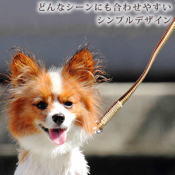 ѥ꡼ɡASHUȥꥳ롡꡼ɡS