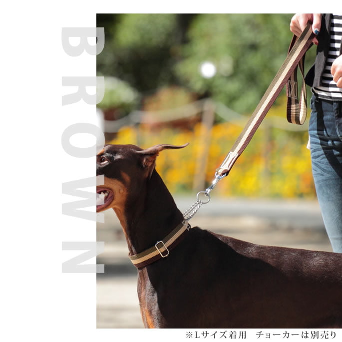 ѥ꡼ɡASHUȥꥳ롡꡼ɡS