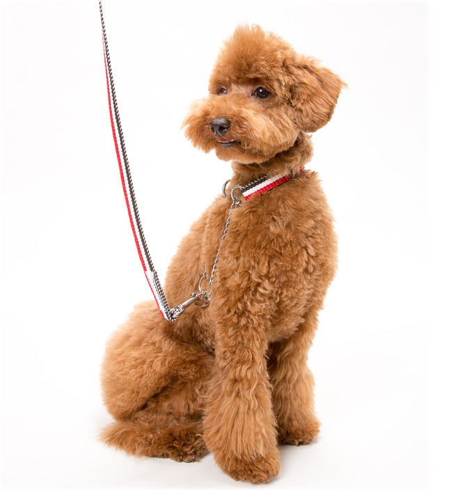 ѥ꡼ɡASHUȥꥳ롡꡼ɡS