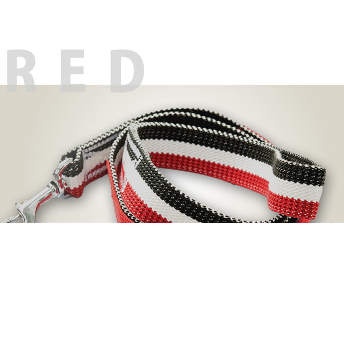 ѥ꡼ɡASHUȥꥳ롡꡼ɡS