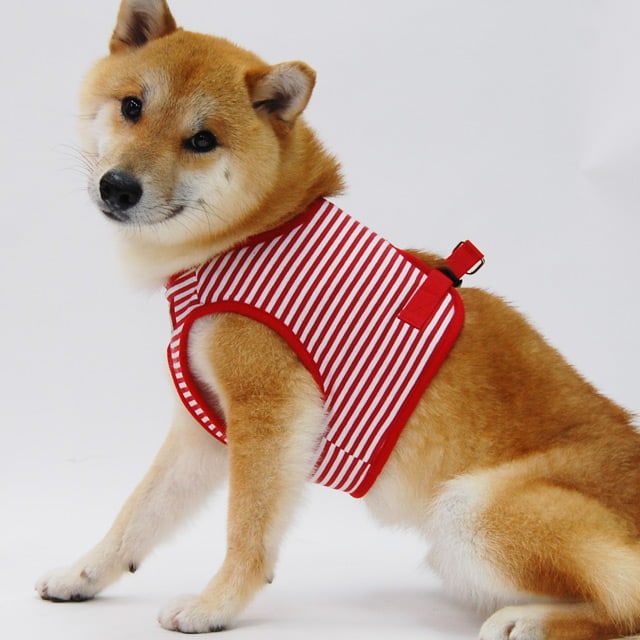 ���ѥϡ��ͥ����꡼�ɥ��åȡ�ASHU���������ϡ��ͥ��ܡ��������꡼�ɥ��åȡ�XL���������淿����