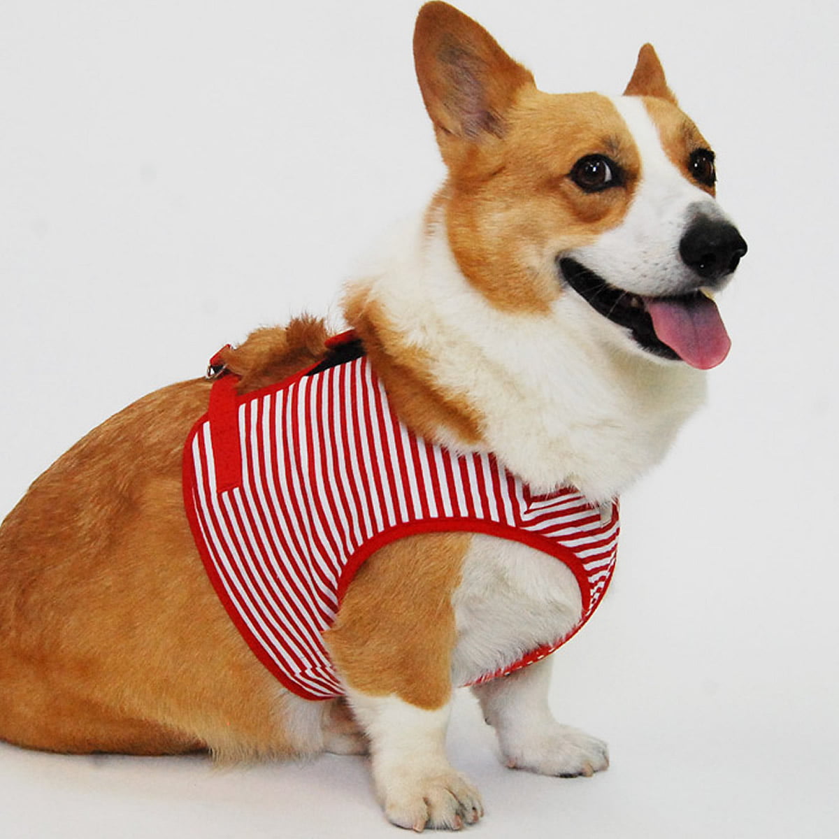 ���ѥϡ��ͥ����꡼�ɥ��åȡ�ASHU���������ϡ��ͥ��ܡ��������꡼�ɥ��åȡ�XL���������淿����