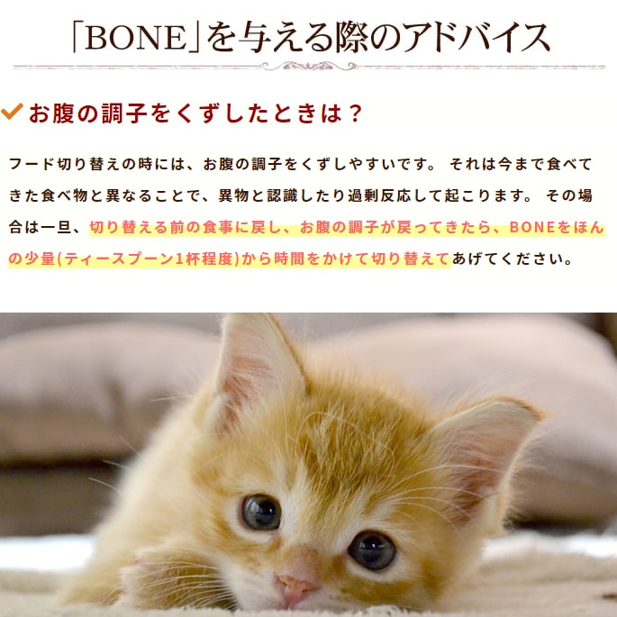 ǭ�� ������BONE �ۡ�����1.1kg��ȯ������۹�οʲ����������ա��ɡ�a0251��