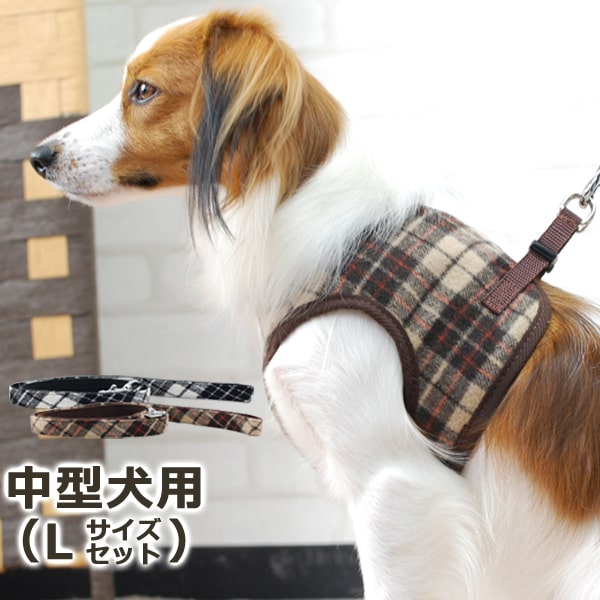 ASHUϡͥ åå L(淿)̵ʤ꼡轪λ