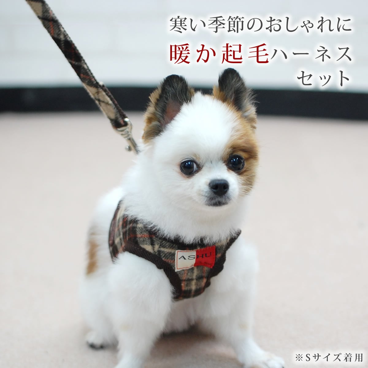 ASHUϡͥ åå L(淿)̵ʤ꼡轪λ