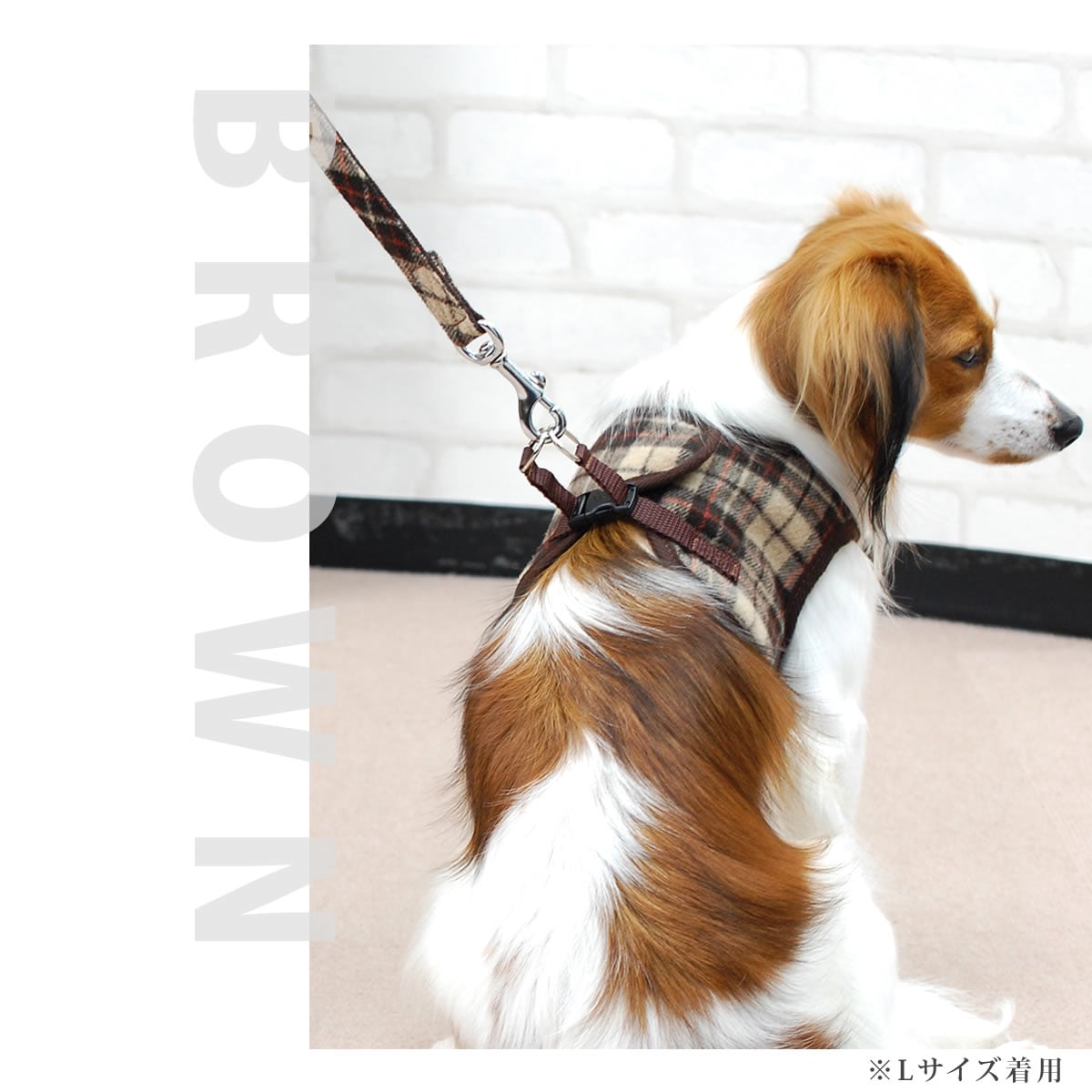 ASHUϡͥ åå L(淿)̵ʤ꼡轪λ