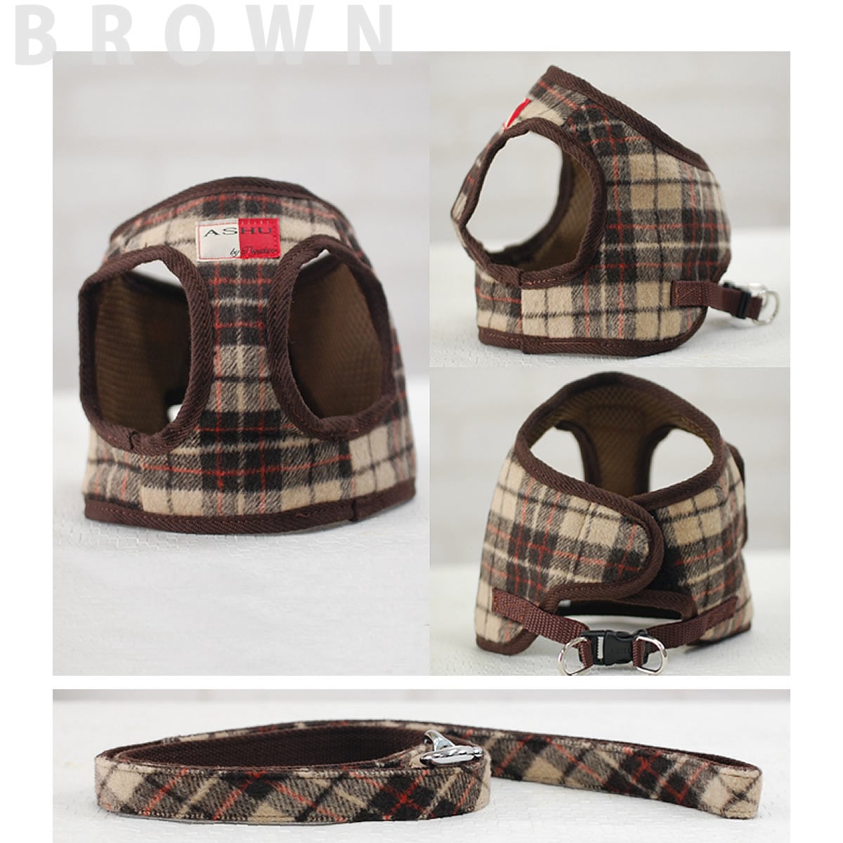 ASHUϡͥ åå L(淿)̵ʤ꼡轪λ