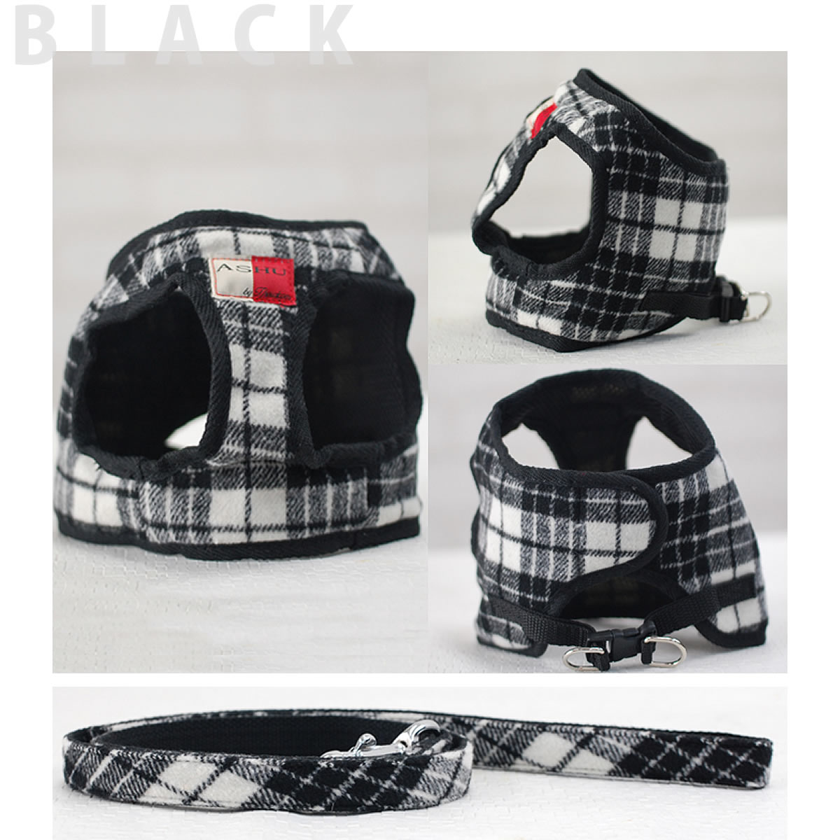 ASHUϡͥ åå L(淿)̵ʤ꼡轪λ