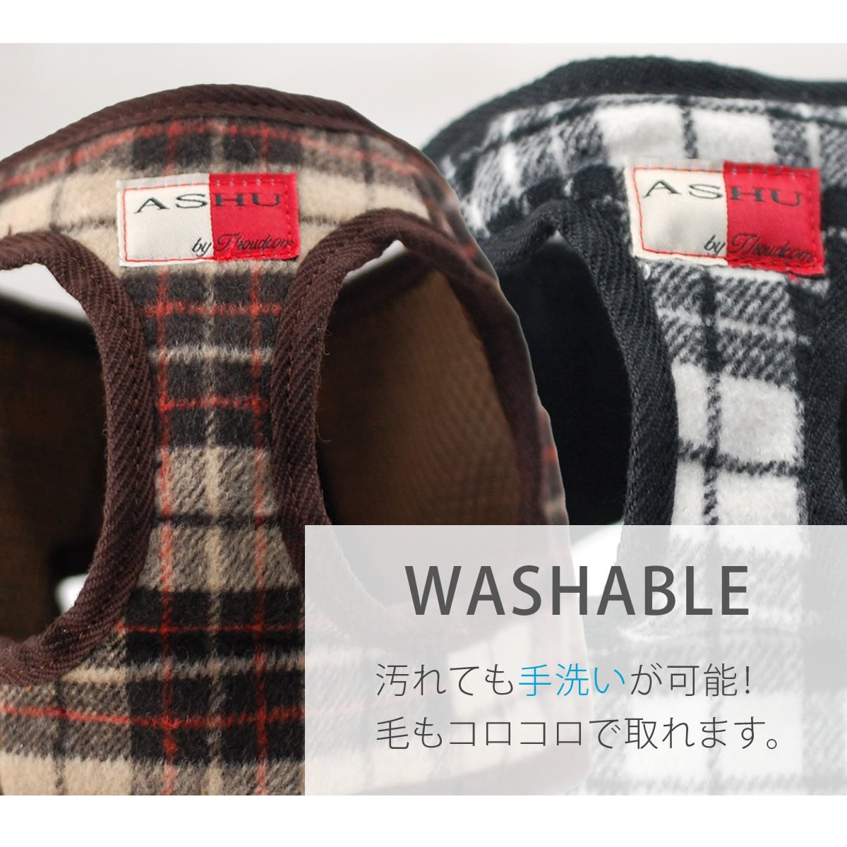 ASHUϡͥ åå L(淿)̵ʤ꼡轪λ