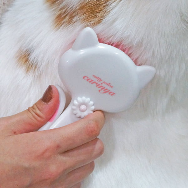 �ˤ��餫����å���