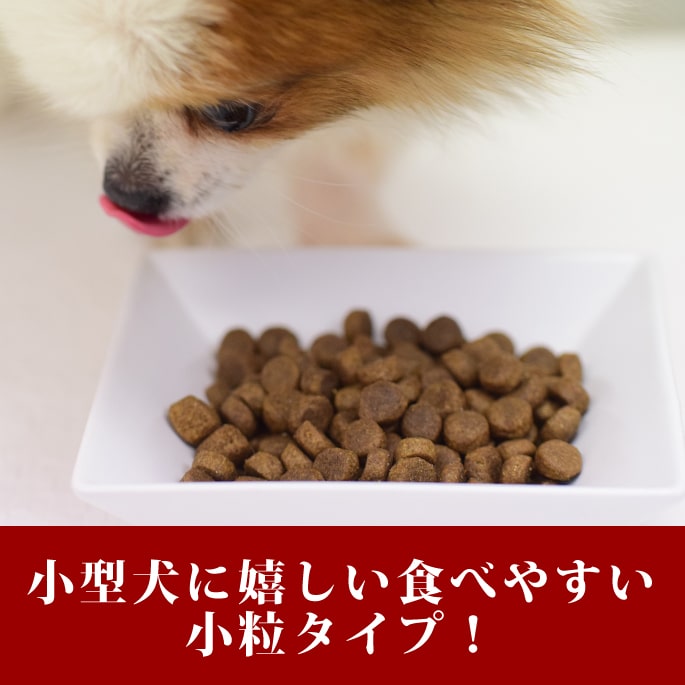 ������̵�������ޤ��աۥȥ饤�ץɥ饤���ɥå��ա��ɡ��磻��ɥ������γ��6.36kg