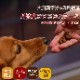 �����Ѥ���ġ���ð�ȼ������������ơ��� 5�ޥ��å�