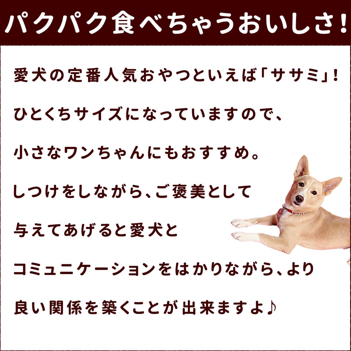 犬用ジャーキー｜ひと口ささみ 無添加の犬用おやつ 70g（ 5袋セット