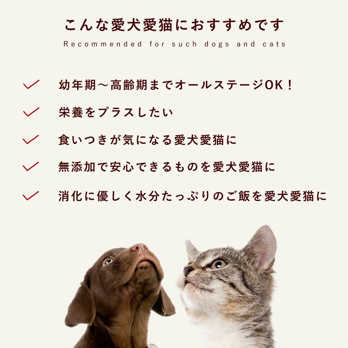 ǭ եåȥСѥƤαܤäפꥻå 2 ء