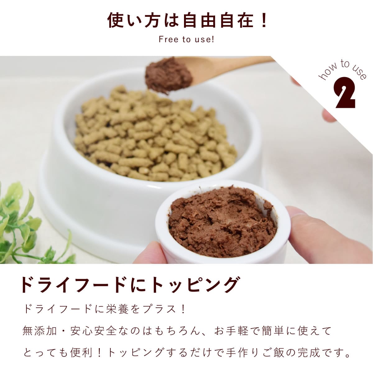 ǭ եåȥСѥƤαܤäפꥻå 2 ء